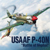 Academy 12341 1/48 USAAF P-40N Warhawk Battle of Imphal Plastic Model Kit Aus Decals