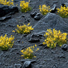 Gamers Grass GGF-YE Yellow Flowers Wild Tufts