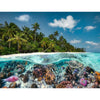 Ravensburger 17441-6 Diving in the Maldives 2000pc Jigsaw Puzzle
