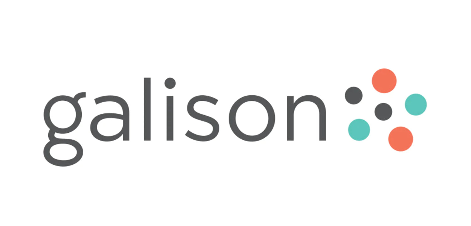 Galison Jigsaw Puzzles