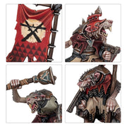 Warhammer Age of Sigmar Introductory Set