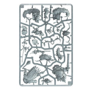 Warhammer Quest Darkwater
