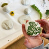 DAS Modelling Clay White 1kg