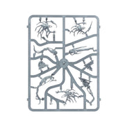 Warhammer Age of Sigmar Nighthaunt Spirit Hosts