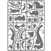 Warhammer Age of Sigmar Spearhead Seraphon