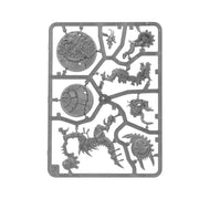 Warhammer Age of Sigmar Spearhead Seraphon Sunblooded Prowlers