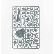 Warhammer Age of Sigmar Spearhead Seraphon Sunblooded Prowlers