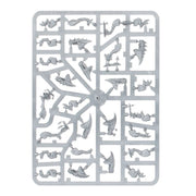 Warhammer Age of Sigmar Gloomspite Gitz Squig Herd