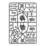 Warhammer Age of Sigmar Stormcast Eternals Dracothian Guard