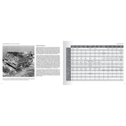 Abteilung 502 ABT759 Semiorugas Alemanes 1939-1945