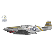 Arma Hobby 70075 1/72 P-51B Mustang CBI