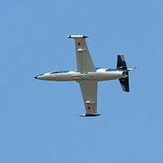 Arrows Hobby 50mm L39 PNP with Vector RC Aircraft AH025P-VEC