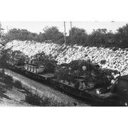 AK Interactive 35501 1/35 Railway Schwerer Plattformwagen Tyme SSYS