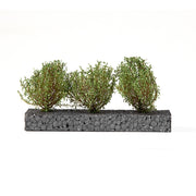 AK Interactive 8215 Dioramas Dark Green Bushes 4-6cm -135 / 75 mm / 90 mm