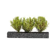 AK Interactive 8216 Dioramas Light Green Bushes 4-6cm -135 / 75 mm / 90 mm