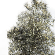 AK Interactive AK8265 1/35 Fantasy Bushes Black White