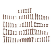 AK Interactive BIT0013 Basing Bits Human Bones 120