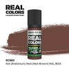 AK Interactive RC863 Real Colors Rot Rotbraun-Red Brown RAL 8013 17ml Lacquer Paint