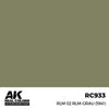 AK Interactive RC933 Real Colors RLM 02 RLM-GRAU 1941 17ml Lacquer Paint