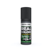 AK Interactive RC937 Real Colors RLM 66 1938 17ml Lacquer Paint