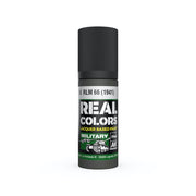 AK Interactive RC938 Real Colors RLM 66 1941 17ml Lacquer Paint