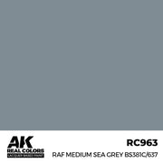AK Interactive RC963 Real Colors RAF Medium Sea Grey BS381C/637 17ml Lacquer Paint