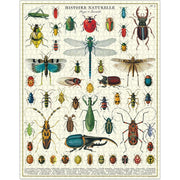 Cavallini Bugs and Insects 1000pc Jigsaw Puzzle
