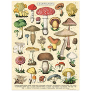 Cavallini Mushrooms 240pc Jigsaw Puzzle