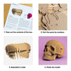 Cartonic Skull 3D Puzzle