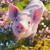 Cherry Pazzi 20197 Do you love me? 500pc Jigsaw Puzzle