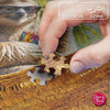 Cherry Pazzi 20302 No Hurry, No Worries 500pc Jigsaw Puzzle