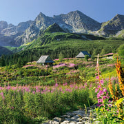 Cherry Pazzi 30059 Gasienicowa hall in Tatras 1000pc Jigsaw Puzzle