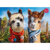 Cherry Pazzi 30455 Friends Forever 1000pc Jigsaw Puzzle