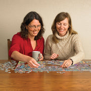 Cobble Hill Doodle Town Bookshop Bedlam 1000pc Jigsaw Puzzle