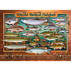 Cobble Hill World Record Catches 500pc Jigsaw Puzzle