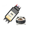 Dualsky 200H Tuning Combo with 2306C V2 2300kv Motor and Summit Lite 16A ESC