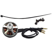 Dualsky Hornet Mini ARF ECO2204X brushless motor CCW