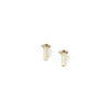 Dualsky DSRSSML Small Servo Mounting Screws 2pcs
