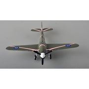 Easy Model 39315 1/48 P-40M
