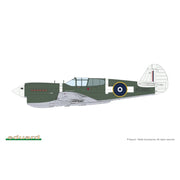 Eduard 11185 1/48 PACIFIC STAR Curtiss P-40E Warhawk Dual Combo The Limited edition