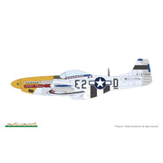 Eduard 1/48 Mighty Eighth 65th Fighter Wing