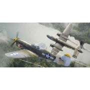 Eduard 1/48 P-40N Warhawk