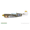 Eduard 1/48 P-40N Warhawk
