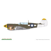 Eduard 1/48 P-40N Warhawk