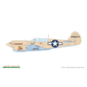 Eduard 1/48 P-40N Warhawk