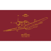 Eduard 1/72 P-51D Mustang Dual Combo Plastic Model Kit