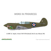 Eduard R0023 1/48 P-40E Royal Class Dual Combo