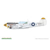 Eduard 1/48 P-40N Warhawk Royal Class Dual Combo Plastic Model Kit