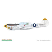 Eduard 1/48 P-40N Warhawk Royal Class Dual Combo Plastic Model Kit