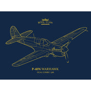 Eduard 1/48 P-40N Warhawk Royal Class Dual Combo Plastic Model Kit